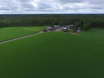 Фото номера Дом с 3 спальнями и собственной сауной Фермерские дома Maatilamatkailu Ilomäki г. Перясейняйоки 12