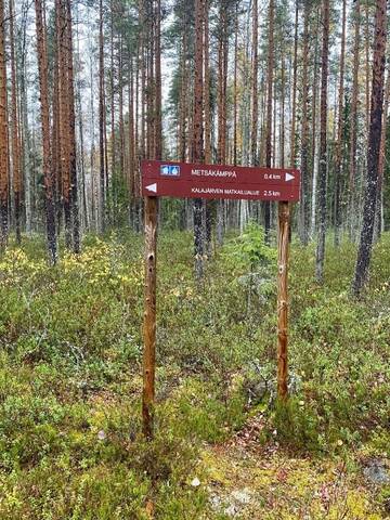 Фото номера Вилла с 2 спальнями Виллы LomaRati Kalajärvi г. Перясейняйоки 36